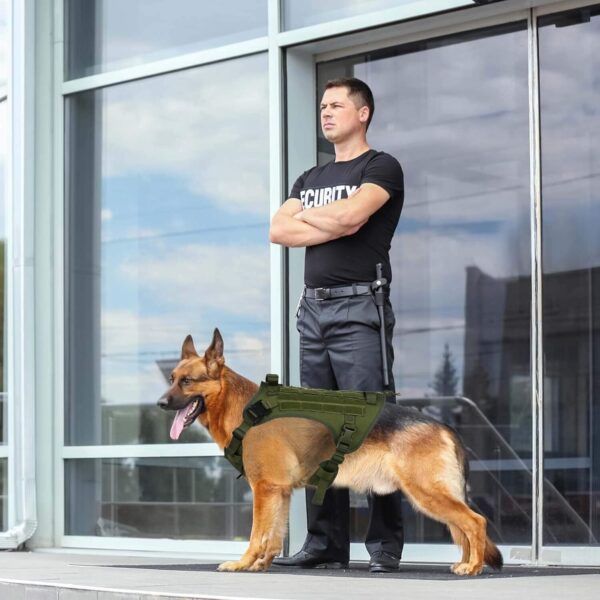 81CRyofaVqL._SL1500_.jpg HANK Tactical Dog Harness - No Pull Heavy Duty - 1600D Oxford Nylon - Adjustable Dog Chest Belt - 2 Metal Buckle - Dog Vest for Training, Walking & Outdoor Adventure (Tactical Green, S - Harness)
