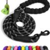 Taglory Rope Dog Leash 4 FT with Comfortable Padded Handle, Highly Reflective Threads Dog Leash for Medium Dogs, 3/8 inch, Black