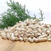 New Improved WISDOM SUPERPINE Wood CAT Litter- Pack of Two (5 KG x 2)