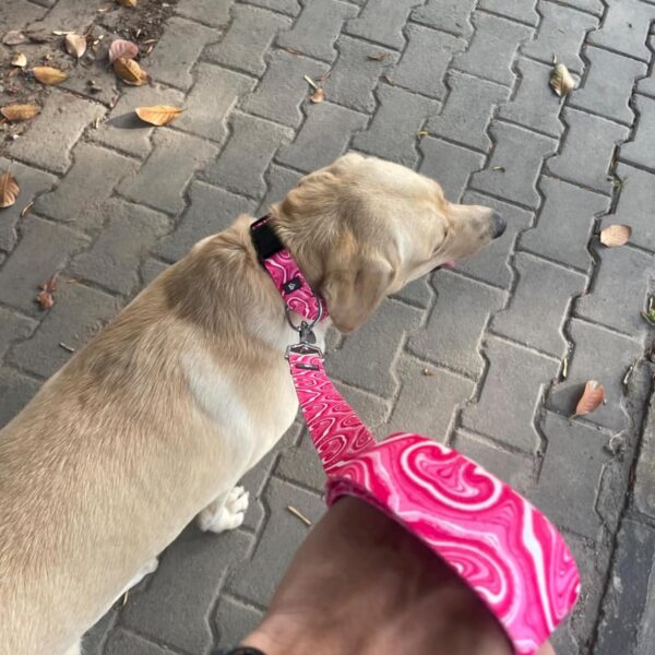 Bark Basket 'Puppy Blush' Dog Leash for Large Dogs | Durable, Lightweight & Strong Charming Baby Pink Print Dog Leash with Comfortable Handle | Leash Size: Large, (4ft Long, 1 Inches Wide)