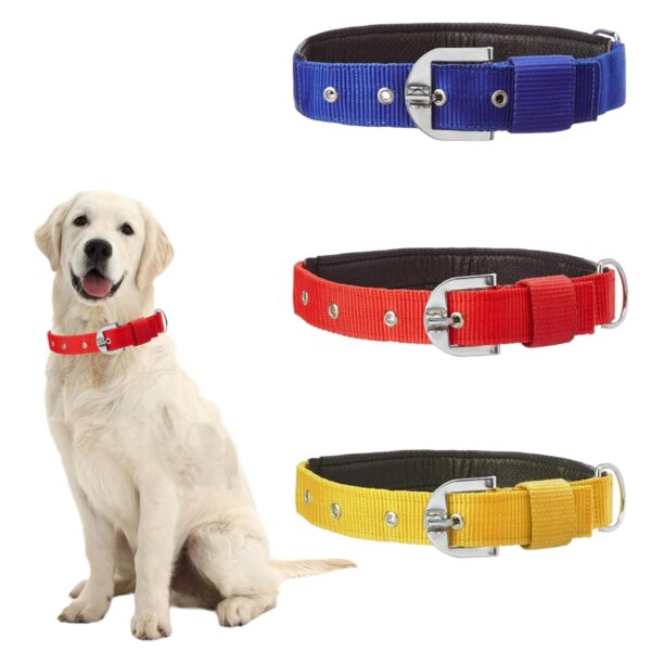 Munchos High Soft Quality Padded Everyday Dog Collar (Colour May Vary) (1 Inchi (Medium))