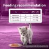 Whiskas Junior Kitten (2-12 Months) Wet Cat Food, Mackeral Flavour, 80 g x 28, 100% Complete & Balanced Nutrition, Supports Healthy Immune System