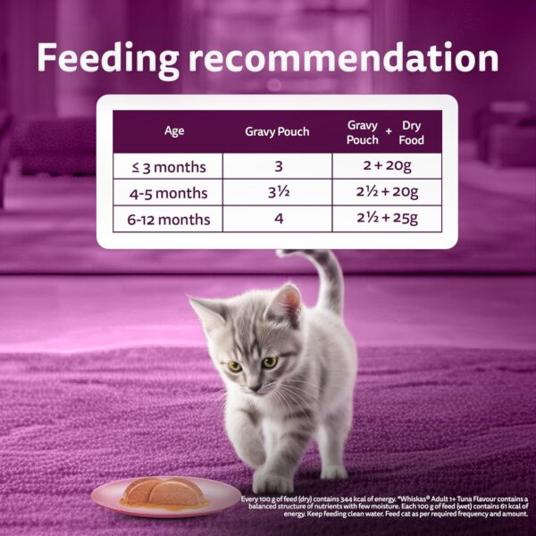 Whiskas Junior Kitten (2-12 Months) Wet Cat Food, Mackeral Flavour, 80 g x 28, 100% Complete & Balanced Nutrition, Supports Healthy Immune System
