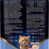 Drools Kitten Cat Wet Mousse 80gm | Ocean Fish | Rich in Protein, Promotes Hydration & Easy to Digest | Grain Free, No Artificial Flavours |Packed with Essential Vitamins & Antioxidants