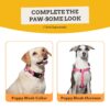 Bark Basket 'Puppy Blush' Dog Leash for Large Dogs | Durable, Lightweight & Strong Charming Baby Pink Print Dog Leash with Comfortable Handle | Leash Size: Large, (4ft Long, 1 Inches Wide)