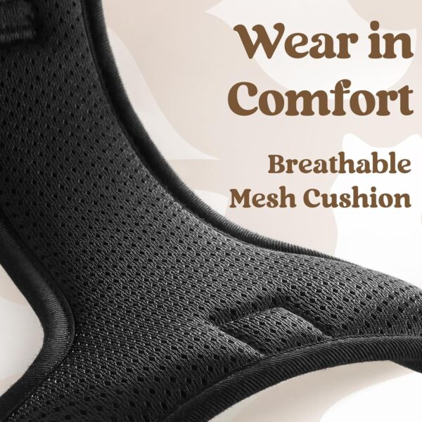 Premium Reflective Dog Vest Harness| Soft Breathable| Padded Handle| Adjustable Straps & Luxury Buckle | Soft Padded Mesh | No Pull | No-Choke | Chest 28-35inch | All Medium Breed 14-22Kg