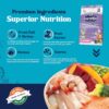 81HS1XV1hgL._SL1500_.jpg Carniwel Fresh Fish & Shrimp Kitten Dry Cat Food 400 gm | Fresh & Natural Ingredients | Highly Palatable | Supports Healthy Skin & Glossy Coat | Premium Nutrition
