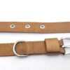 RvPaws Combo Nylon Dog Belt - 1 Inch Collar with Heavy Dog Chain 63 Inch Lengthy Dog Collar Chain Adjustable (Collar Neck Size 16-20 Inch) (Golden)