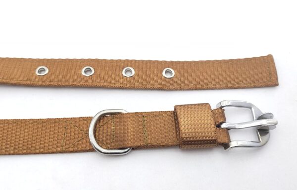 RvPaws Combo Nylon Dog Belt - 1 Inch Collar with Heavy Dog Chain 63 Inch Lengthy Dog Collar Chain Adjustable (Collar Neck Size 16-20 Inch) (Golden)