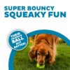 Outward Hound Squeaker Ballz 2-Pack – Large Durable Dog Toy, High-Bounce Tennis Balls with Squeaker, Interactive Fetch & Chew Toy for Active Dogs