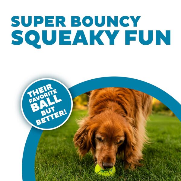 Outward Hound Squeaker Ballz 2-Pack – Large Durable Dog Toy, High-Bounce Tennis Balls with Squeaker, Interactive Fetch & Chew Toy for Active Dogs