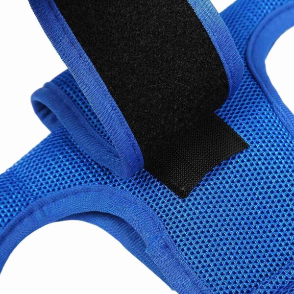 CBEX Pet Dog Grooming Hammock Harness for Cats & Dogs, Dog Sling for Grooming, Dog Hammock Restraint Bag with Nail Clippers/Trimmer, Nail File, Pet Comb,Ear/Eye Care