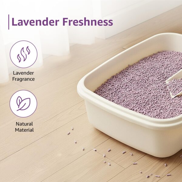 Amazon Basics Premium Tofu Cat Litter | 5 Kg (2.5 Kg x 2 Packs) | Organic | Biodegradable | Flushable | Dust-Free | Instant Clumping | Mild Lavender Fragrance