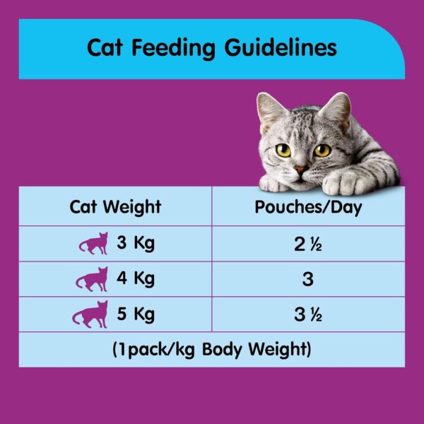 81JAOhjVmGL._SL1500_.jpg Whiskas Wet Cat Food, Tuna in Jelly for Adult Cats (+1 Year) – 85 g Pouch (Pack of 12)