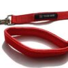 Adjustable Breathable Dog Chest Belt Harness and Padded Leash Belt for Adult Breeds | Comfortable for Training, Walking, Running (Red Color - 1 Inch)