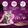 81KgYpBNbCL._SL1500_.jpg Whiskas Junior Kitten (2-12 Months) Wet Cat Food, Chicken in Gravy, 80 g (Pack of 14), Hydrating Food Made With Real Chicken, 100% Complete & Balanced Nutrition for Kittens