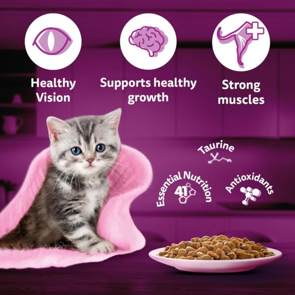 81KgYpBNbCL._SL1500_.jpg Whiskas Junior Kitten (2-12 Months) Wet Cat Food, Chicken in Gravy, 80 g (Pack of 14), Hydrating Food Made With Real Chicken, 100% Complete & Balanced Nutrition for Kittens