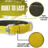 Munchos High Soft Quality Padded Everyday Dog Collar (Colour May Vary) (1 Inchi (Medium))
