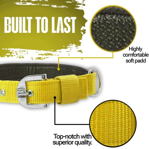 Munchos High Soft Quality Padded Everyday Dog Collar (Colour May Vary) (1 Inchi (Medium))