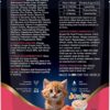 Drools Kitten Cat Wet Mousse 80gm | Salmon | Rich in Protein, Promotes Hydration & Easy to Digest | Grain Free, No Artificial Flavours | Packed with Essential Vitamins & Antioxidants