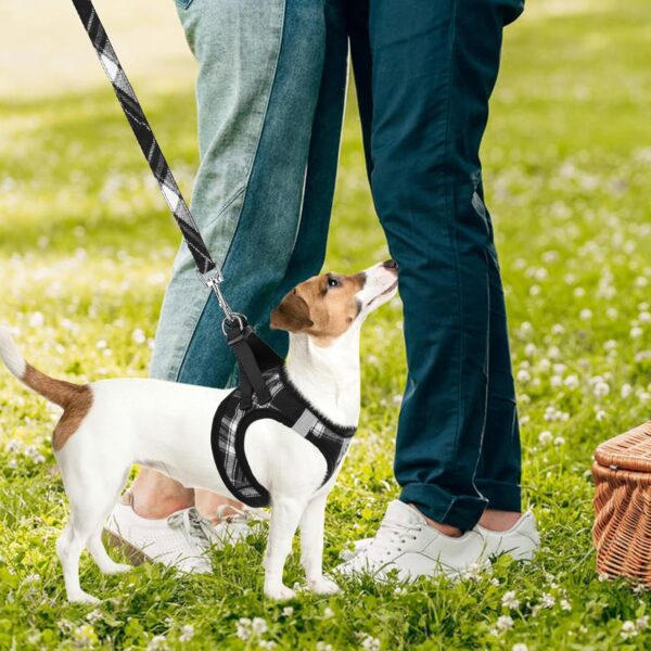 Pupteck Adjustable No-Pull Dog Harness, Collar and Leash Set for Small Medium Dogs, Puppies and Cats, Soft Mesh Padded Reflective Chest Strap for Walking and Training (Black, S (Chest 14.5"–16"))