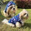 81LUkXTs4L._SL1500_.jpg Lulala Dog Hoodie Fuzzy Dog Sweater with Leash Hole - Small Dog and Cat Clothes Warm Soft Cozy Hooded Sweatshirt for Winter. (Blue-12Inch)