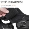 Pupteck Adjustable No-Pull Dog Harness, Collar and Leash Set for Small Medium Dogs, Puppies and Cats, Soft Mesh Padded Reflective Chest Strap for Walking and Training (Black, S (Chest 14.5"–16"))