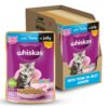 Whiskas Junior Kitten (2-12 Months) Wet Cat Food, Tuna in Whiskas Junior Kitten (2-12 Months) Wet Cat Food, Tuna in Jelly, 80 g (Pack of 14), Hydrating Food Made With Real Fish, 100% Complete & Balanced Nutrition for Kittens