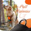 Premium Reflective Dog Vest Harness| Soft Breathable| Padded Handle| Adjustable Straps & Luxury Buckle | Soft Padded Mesh | No Pull | No-Choke | Chest 22-30 inch | All Medium Breed 14-22 Kg