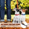 Double Dog Leash,No Tangle Dual Leash Walker,Double Dog Reflective Lead Splitter for Daily Walking Training of Medium to Large Dogs Dual Dog Lead No Tangle