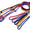 RvPaws Dog Training Leash Slip Leash, Adjustable Length, Strong & Durable Training Show Leash,Soft Nylon Rope I Leather Adjustable, Length 5 Feet X 1 CM - Pack of 1 (Multicolor)