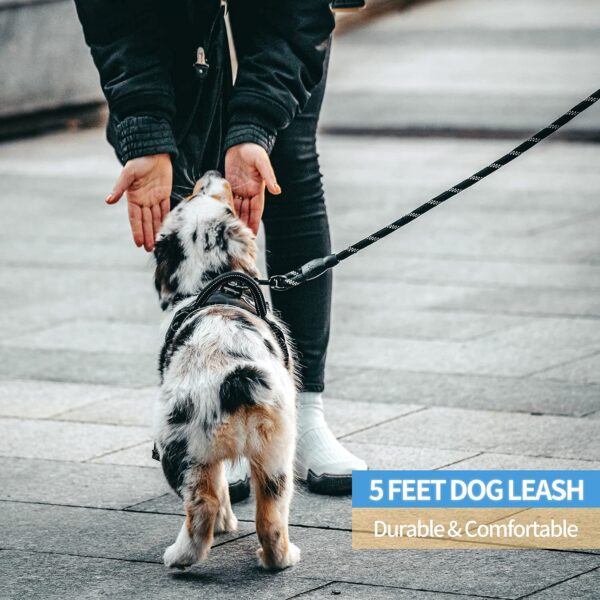 Petology Dog Leash 5FT Long, ½ Inch Thick Reflective Heavy Duty Rope with Anti-Slip Padded Handle for Small & Medium Dogs Black