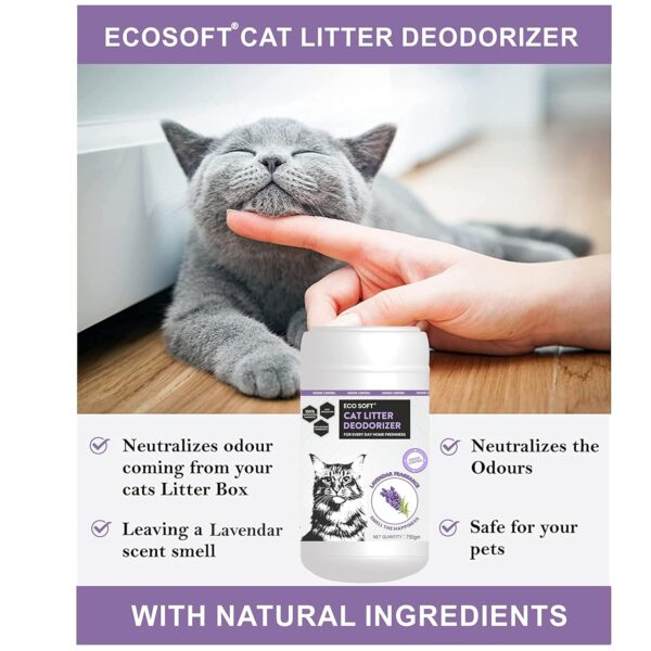 EcoSoft Cat Litter Deodorizer - Strawberry and Lavender fragrance 1500 gm, Odour Control,|Pet Urine Smell Remover| 100% Effective, Fresh Scent