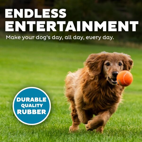 Outward Hound Squeaker Ballz 2-Pack – Large Durable Dog Toy, High-Bounce Tennis Balls with Squeaker, Interactive Fetch & Chew Toy for Active Dogs