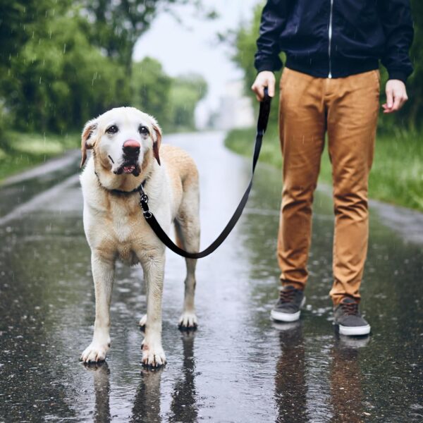 81MuQuuuouL._SL1500_.jpg HANK Dog Leash | 3M Reflective Leash for Dogs | Heavy Duty Dog Rope for Small to Large Dogs | Comfortable Padded Handle 5 Feet (Nylon - Black, Single Handle - 5 feet)