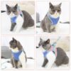 81N8NoSTwaL._SL1500_.jpg Furco Cat Harness Adjustable Comfortfit – Safety Reflective Strip, Lightweight, Breathable, and Secure Harness with Quick-Release Buckle for Maximum Safety and Comfort, for Cats & Small Dogs (L)