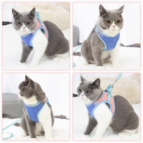 81N8NoSTwaL._SL1500_.jpg Furco Cat Harness Adjustable Comfortfit – Safety Reflective Strip, Lightweight, Breathable, and Secure Harness with Quick-Release Buckle for Maximum Safety and Comfort, for Cats & Small Dogs (L)