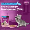 81NPj5cVpZL._SL1500_.jpg Whiskas Junior Kitten (2-12 Months) Wet Cat Food, Tuna in Jelly, 80 g (Pack of 14), Hydrating Food Made With Real Fish, 100% Complete & Balanced Nutrition for Kittens