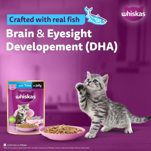 81NPj5cVpZL._SL1500_.jpg Whiskas Junior Kitten (2-12 Months) Wet Cat Food, Tuna in Jelly, 80 g (Pack of 14), Hydrating Food Made With Real Fish, 100% Complete & Balanced Nutrition for Kittens