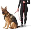 81Nw7r1iXSL._SL1500_.jpg Amazon Basics Double Handle Light Reflecting Dog Leash | 6 Feet/ 182 cm | Black | Strong Hook for Training and Walking Dogs | 2 Padded Handles