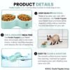 81Oe3Cn4CsL._SL1500_.jpg Foodie Puppies Non-Slip, Non-Toxic Pet Feeding Plastic Cat Face Shaped Double Bowl Food & Water Feeder 2-in-1 Bowl for Dogs, Puppies, Cats & Kittens (Color May Vary)