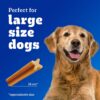 81OmpoqJ9sL._SL1500_.jpg Pedigree Dentastix Oral Care Dog Treat, Adult Large Breed (25+ kg), 1.08 kg, Recommended by Vets, Supports Gum Health, Reduces Risk of Gum diseases