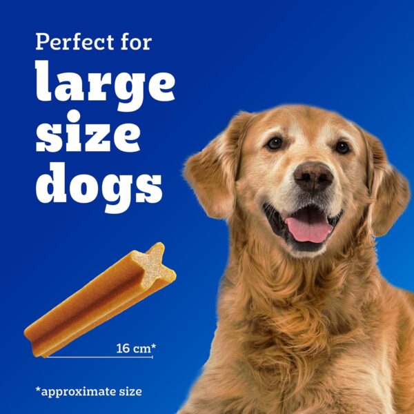 81OmpoqJ9sL._SL1500_.jpg Pedigree Dentastix Oral Care Dog Treat, Adult Large Breed (25+ kg), 1.08 kg, Recommended by Vets, Supports Gum Health, Reduces Risk of Gum diseases