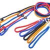 RvPaws Dog Training Leash Slip Leash, Adjustable Length, Strong & Durable Training Show Leash,Soft Nylon Rope I Leather Adjustable, Length 5 Feet X 1 CM - Pack of 1 (Multicolor)