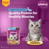 81PMcO8R3cL._SL1500_.jpg Whiskas Adult (+1 Year) Wet Cat Food, Ocean Fish Flavor, 80 g, Pack of 28 | Complete & Balanced Food for Adult Cats | Pet Food for Hydration of Cats