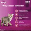 Whiskas Junior Mother Cat & Kitten (2-12 Months) Dry Cat Food, Ocean Fish Flavour, 450 g, Contains 41 Essential Nutrients, Complete & Balanced Nutrition for Mother Cats & Kittens (Pack of 2)