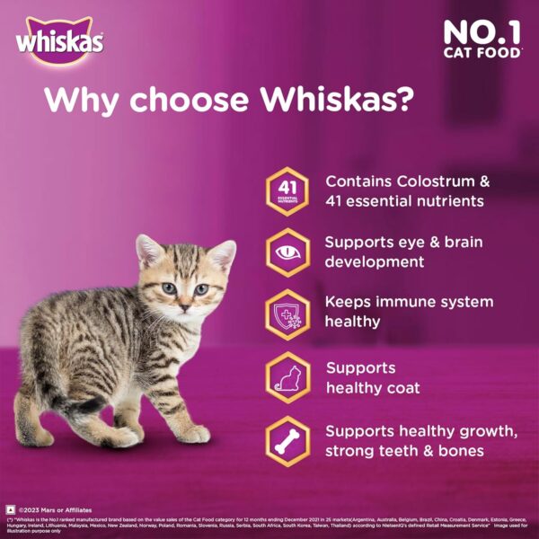 Whiskas Junior Mother Cat & Kitten (2-12 Months) Dry Cat Food, Ocean Fish Flavour, 450 g, Contains 41 Essential Nutrients, Complete & Balanced Nutrition for Mother Cats & Kittens (Pack of 2)