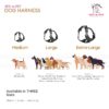 81QInGYE5qL._SL1500_.jpg Dog Harness, No Pull & No Choke Harness for Dogs, Oxford Breathable & Reflective Fabric Vest, Soft Inner Sponge Padding, Adjustable Body Belts, Thicker Handle (Medium, Black)