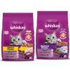 81QQlE1ciLL._SL1500_.jpg Whiskas Adult (+1 Year) Dry Cat Food, Chicken Flavour, 1.2kg Pack & Whiskas Adult (+1 Year) Dry Cat Food, Mackerel Flavour, 1.2kg Pack
