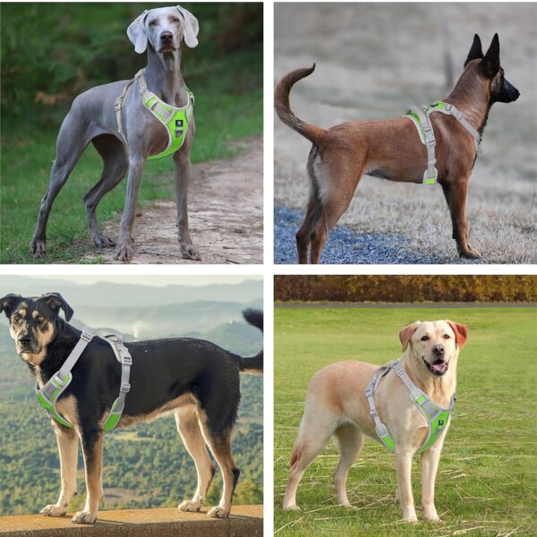 81RQbe-rq6L._SL1500_.jpg HANK Dog Harness Leash Set - Soft Comfortable Handle - Dog Vest for Small Breed - No Pull Harness - Dog Vest for Training - Walking (Neon - Grey - S (Harness + Leash)